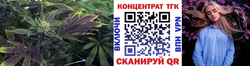 omg вход  Елизаветинская  Дистиллят ТГК THC oil 