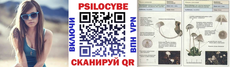 Галлюциногенные грибы прущие грибы Елизаветинская