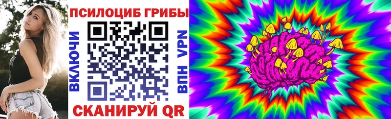 купить  сайты  мориарти как зайти  Псилоцибиновые грибы прущие грибы  Елизаветинская 
